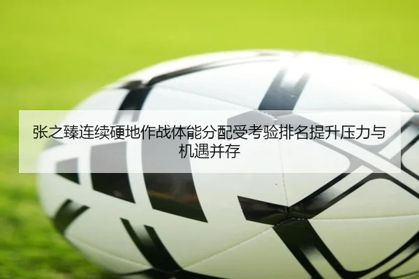 张之臻连续硬地作战体能分配受考验排名提升压力与机遇并存